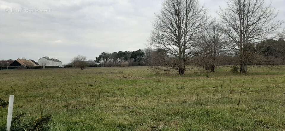 Terrain à ROEZE-SUR-SARTHE
