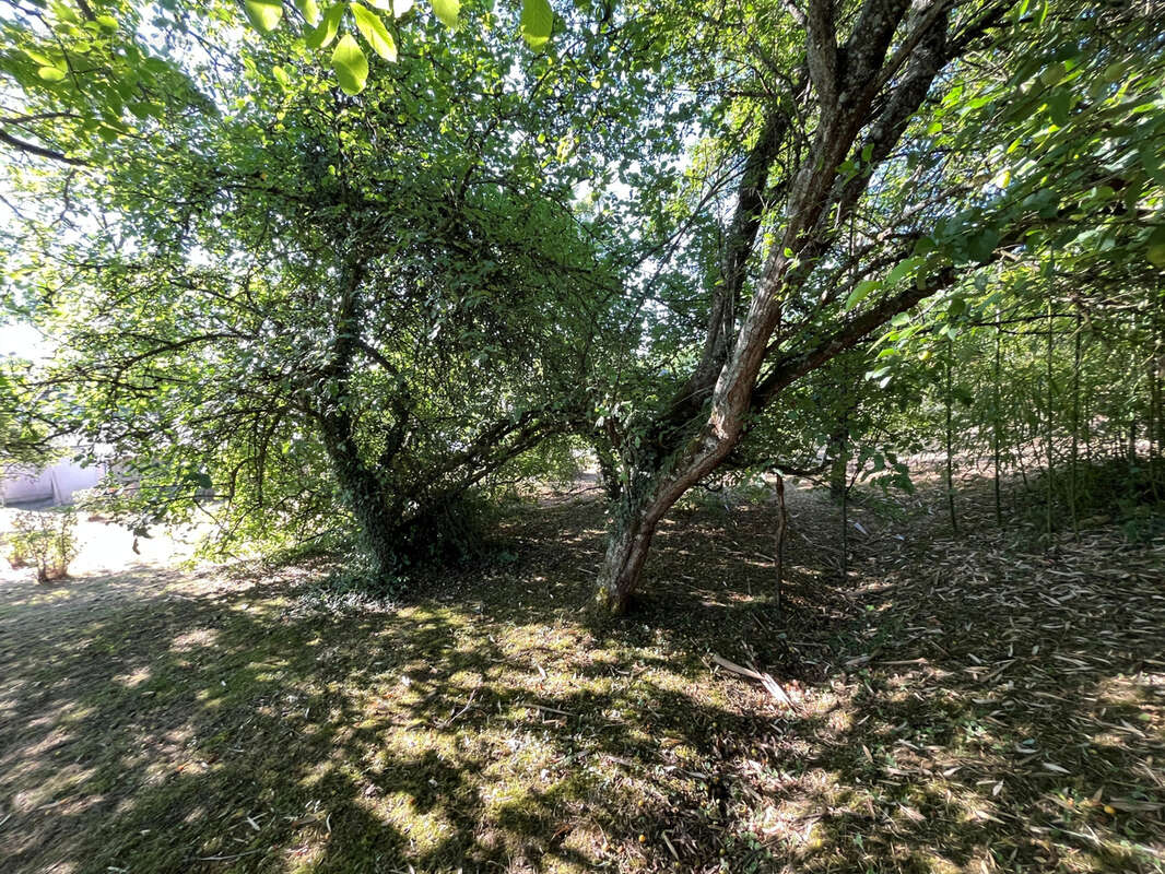 Maison de campagne proche riviere - photo 9