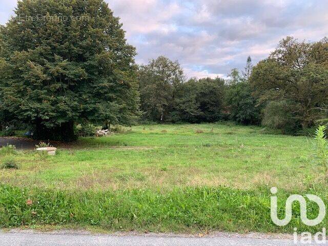 Photo 1 - Terrain à DOMPIERRE-SUR-YON