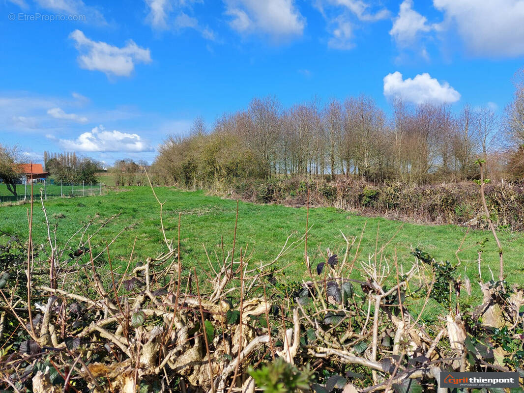 Terrain à CONTEVILLE