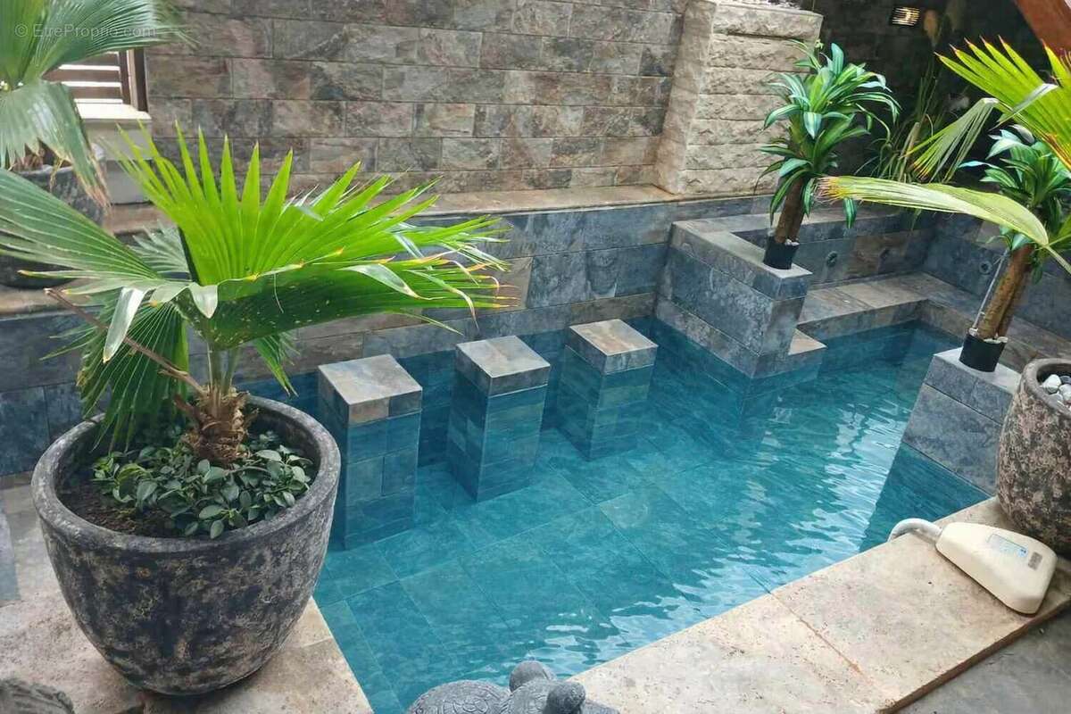 Grande propriété avec 1 appartement + 1 duplex – Piscine / Jacuzzi / Spa – Vendue meublée – Idéal investissement locatif - photo 2