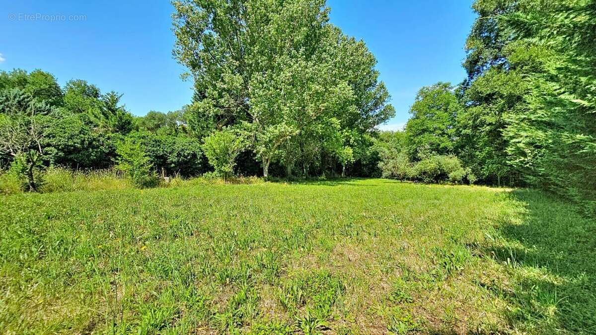 En exclusivité sur VIDAUBAN (Var) Maisonnette sur 3900m² - photo 6
