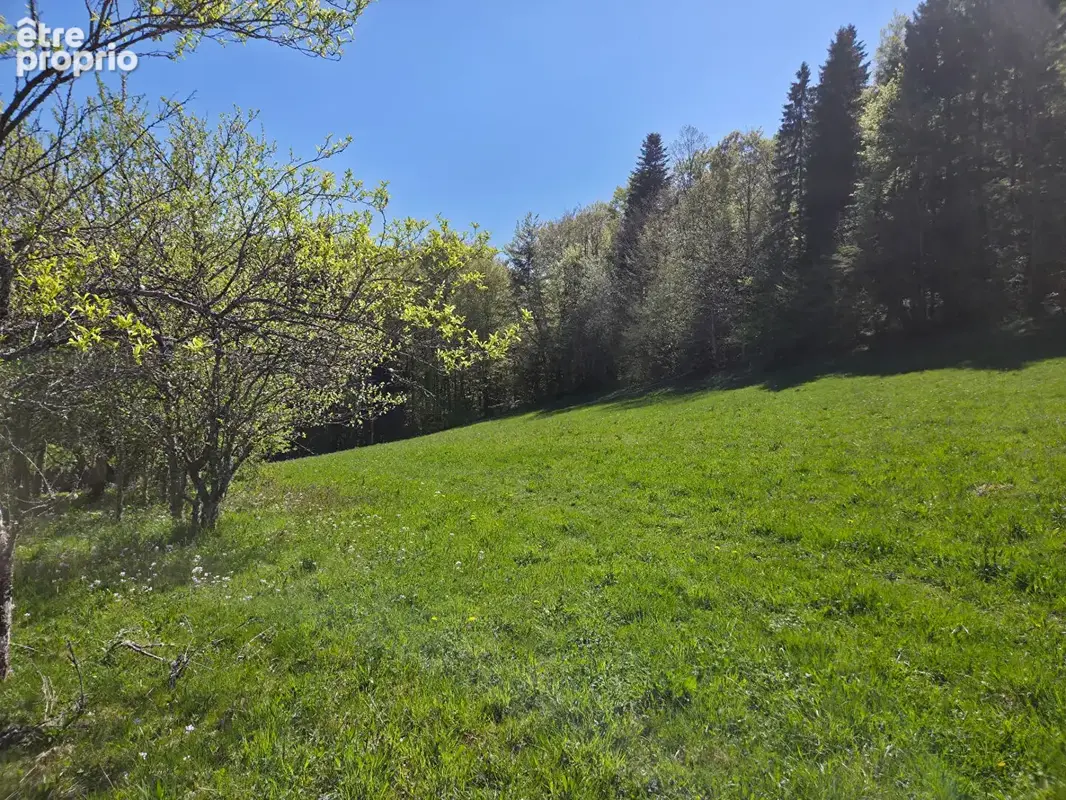 5 minutes de maîche, ferme sur 18ha de terrain - photo 3