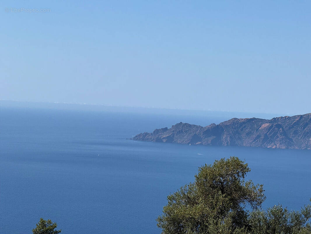 Terrain à PIANA