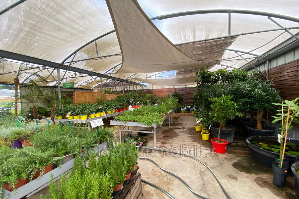 Maison à ARGELES-SUR-MER