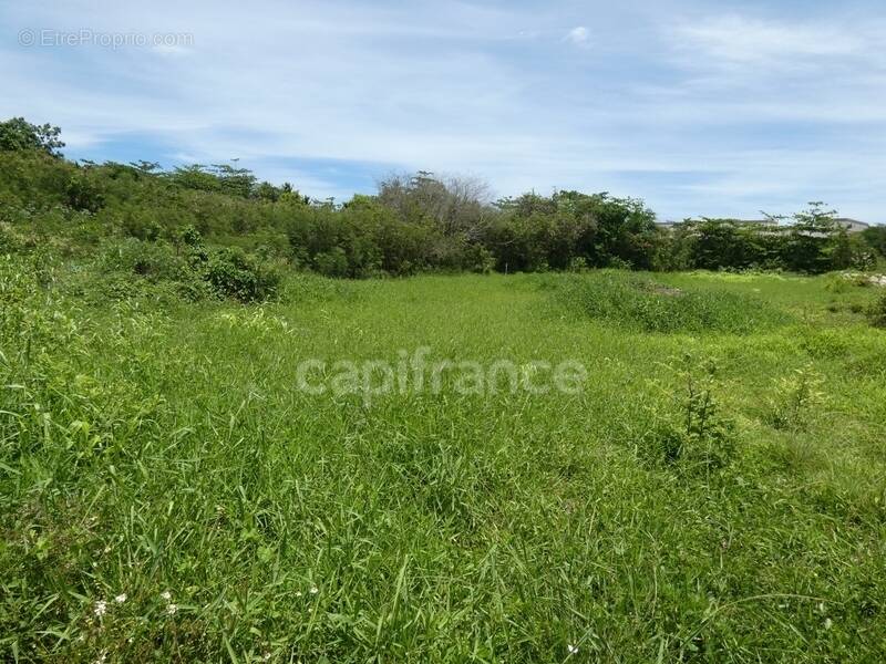 Terrain à LE MOULE