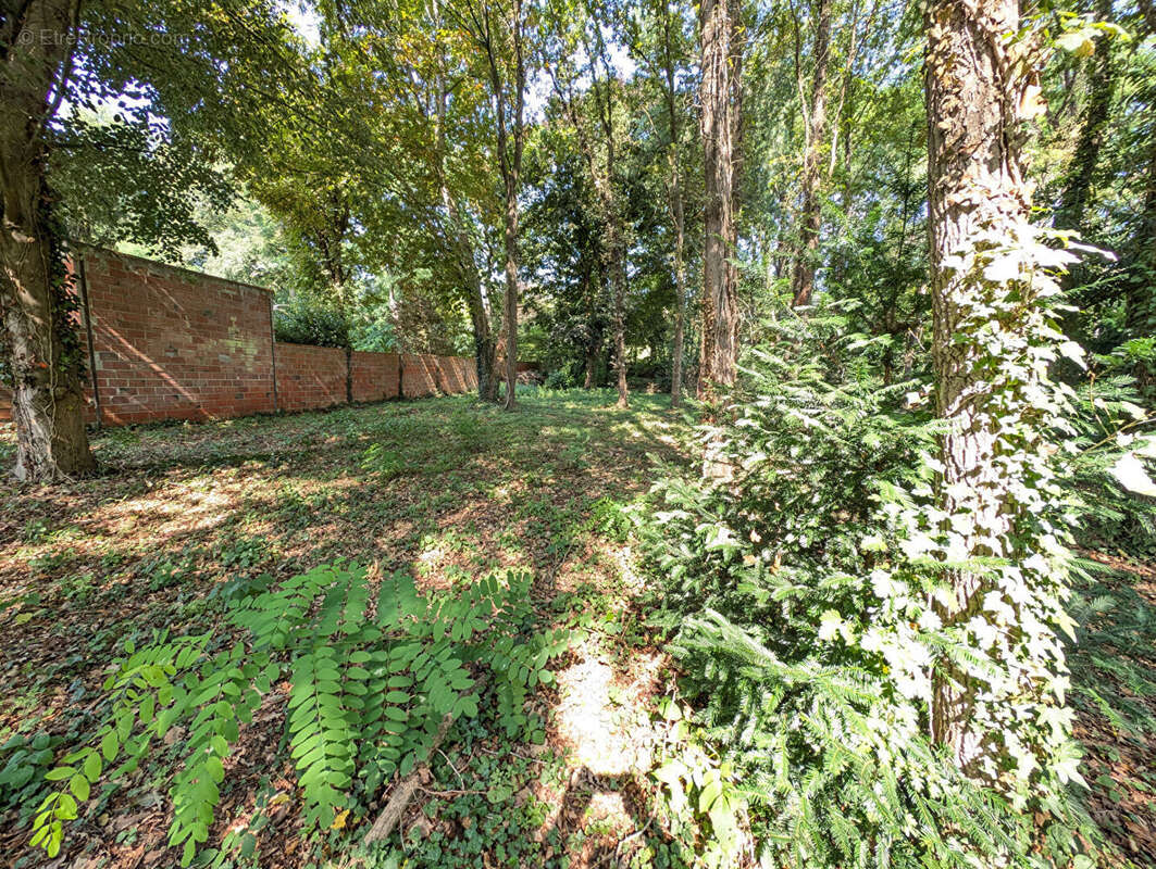 Terrain Congis Sur Therouanne 1000m2 - photo 5