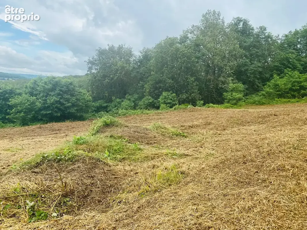 Terrain 3479m² à planioles - photo 4