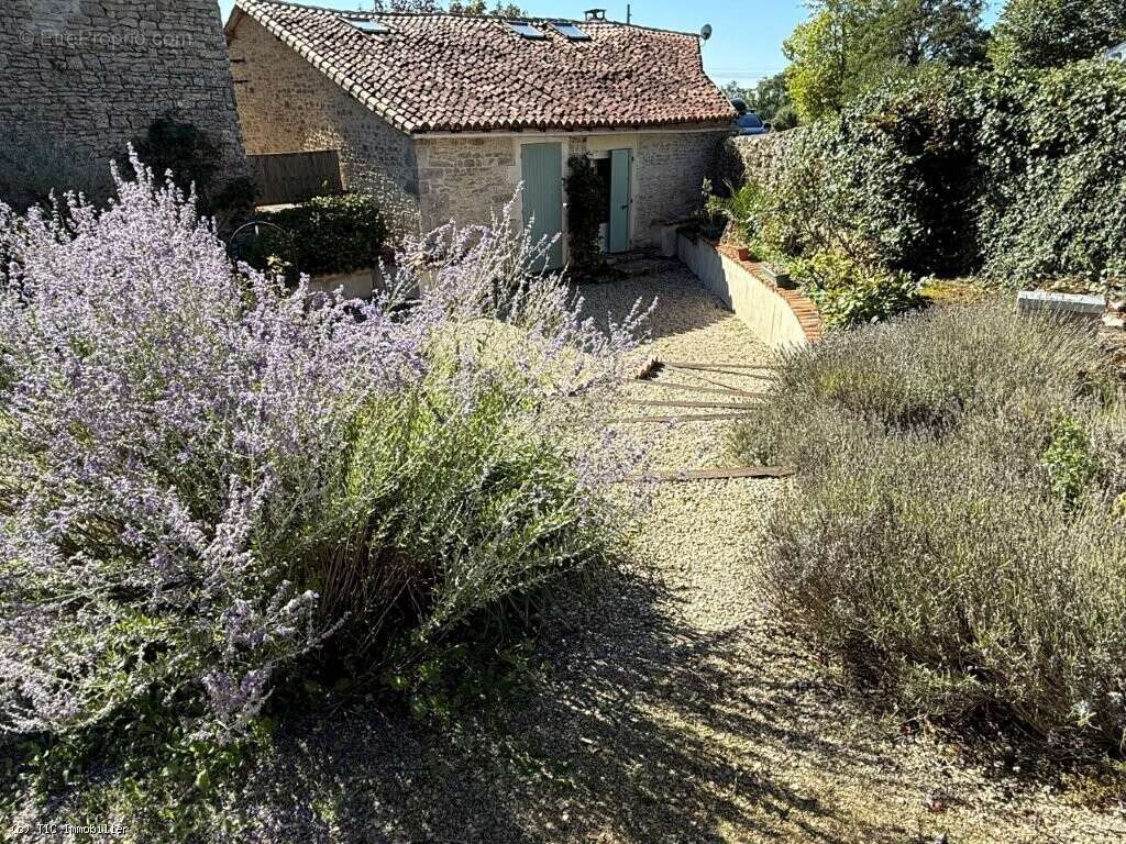 Maison à VERTEUIL-SUR-CHARENTE