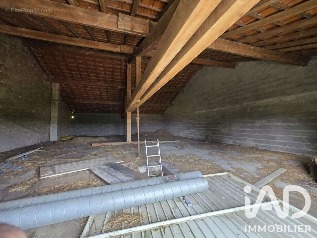 Appartement 500 m² à Amance  - photo 7