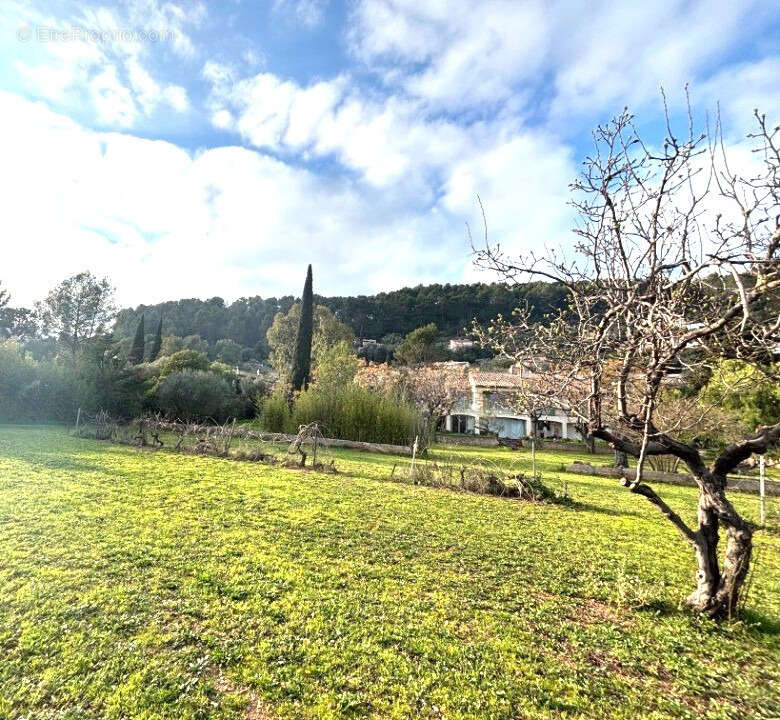 Terrain à SOLLIES-PONT