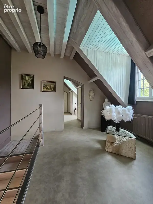 Bellerive-sur-allier   villa de caractère avec piscine et parc arboré ! - photo 13