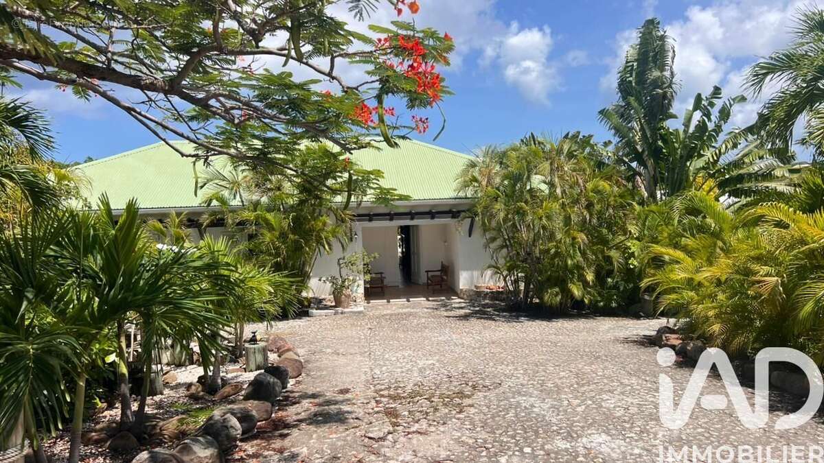 Photo 2 - Maison à SAINT-MARTIN