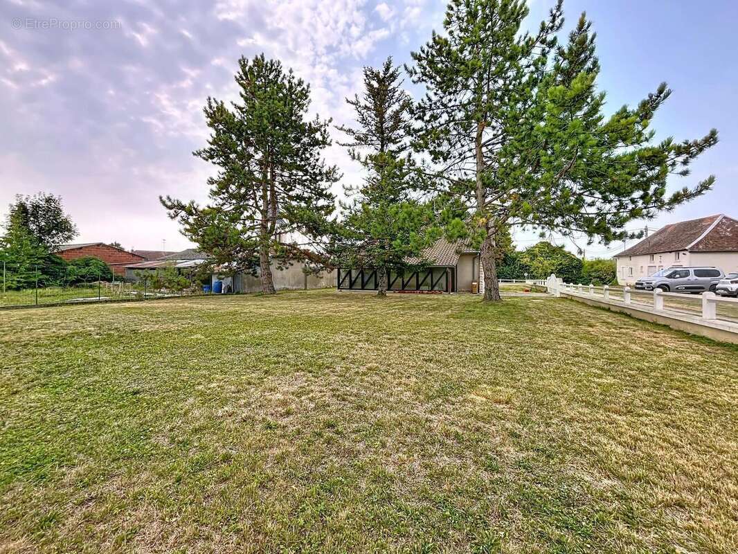 Photo 2 - Terrain à RAMERUPT