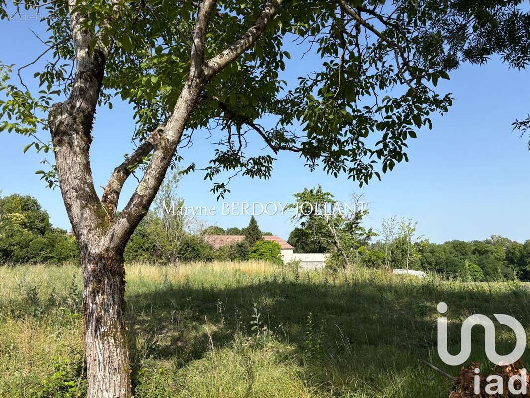 Photo 8 - Terrain à LECTOURE