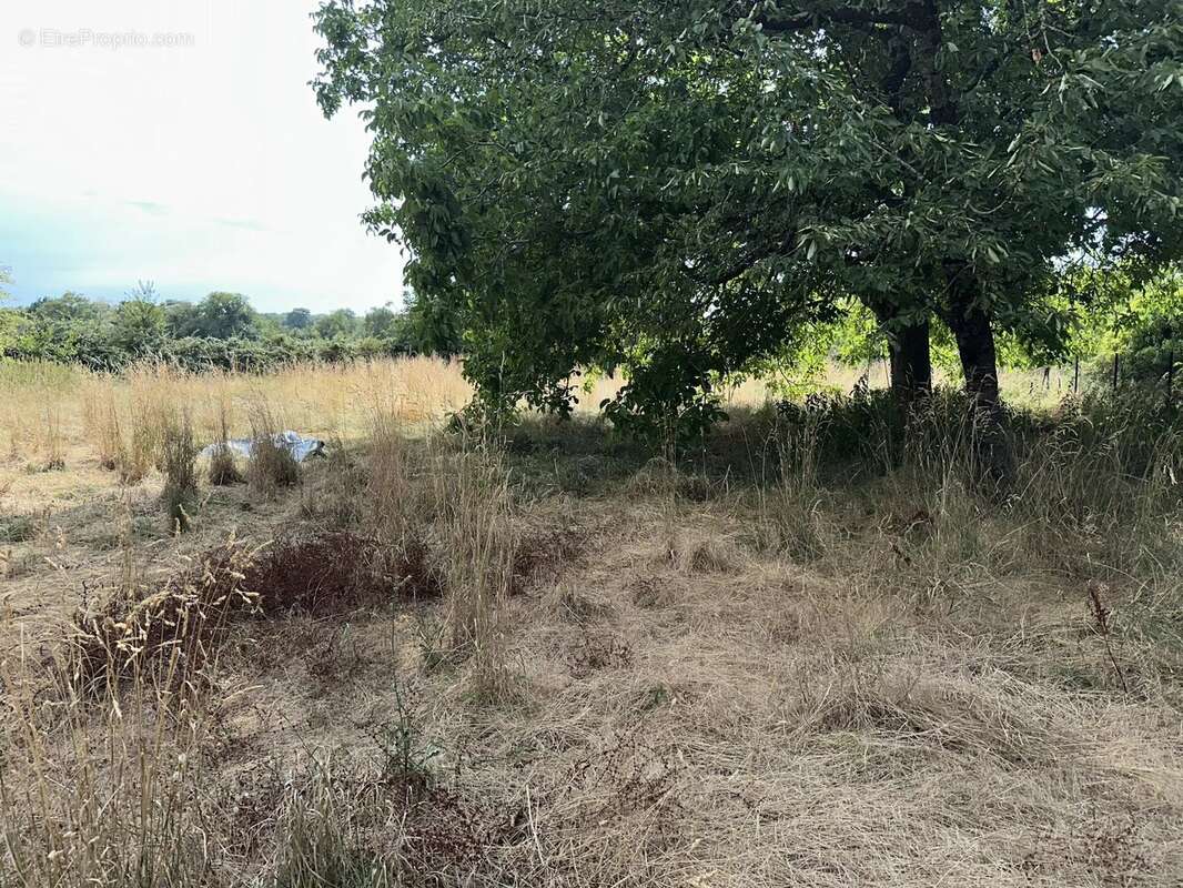 Usson du poitou - photo 10
