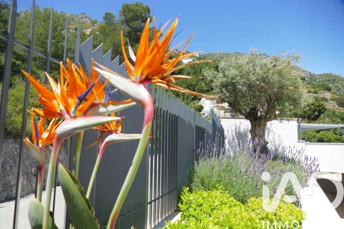 Photo 4 - Maison à EZE
