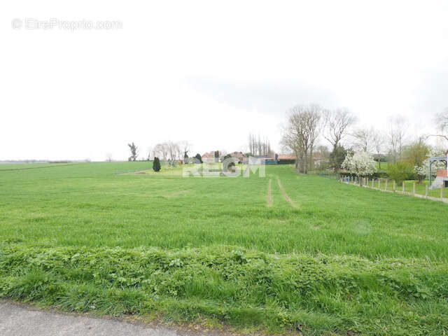 Terrain à CROISILLES