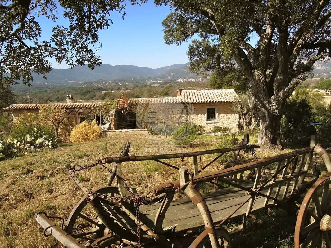 Maison à PLAN-DE-LA-TOUR