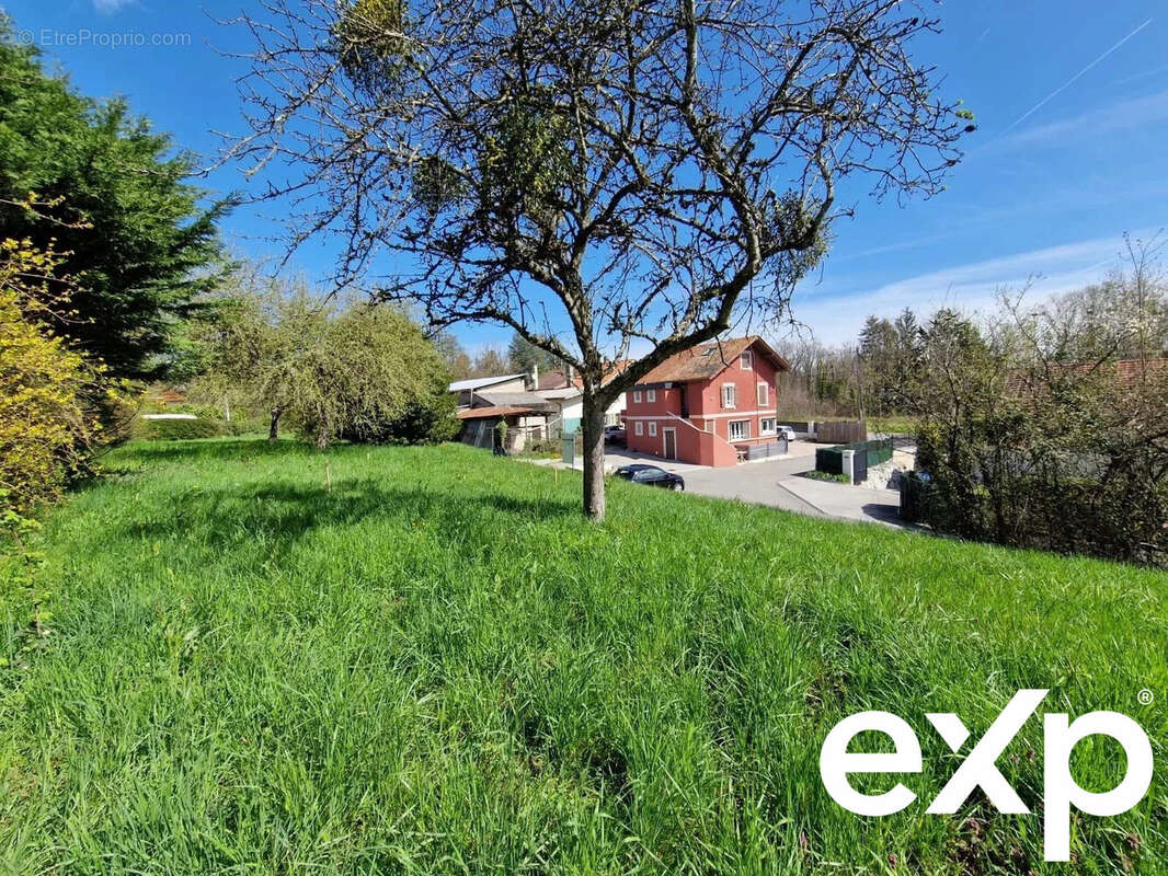 Terrain à EXCENEVEX