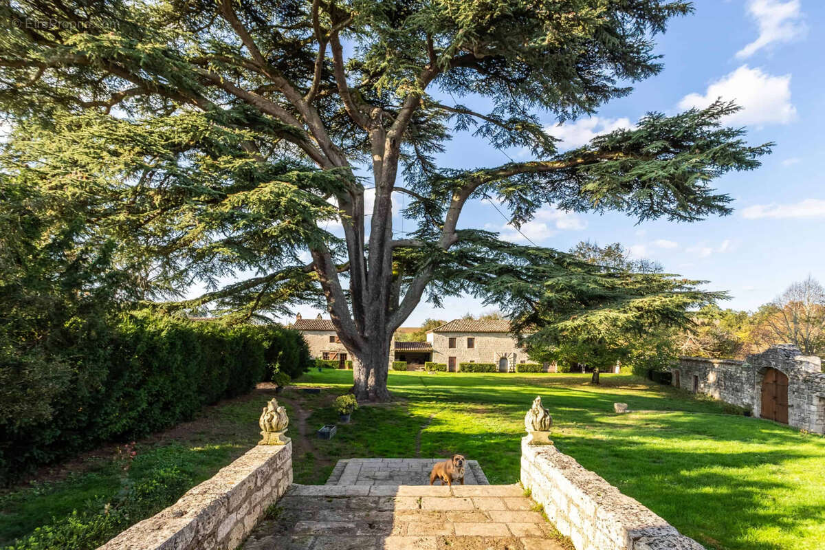 Maison à Beauville  - photo 39