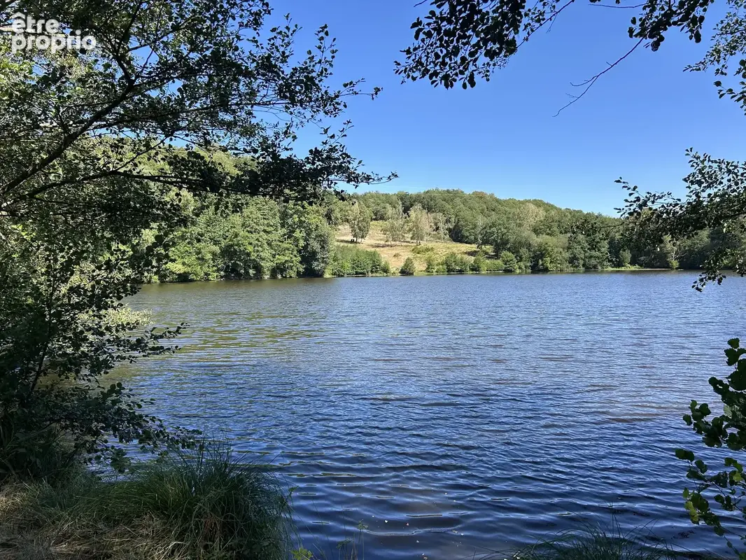 Superbe domaine équestre avec étang, deux habitations et 24 hectares - photo 13
