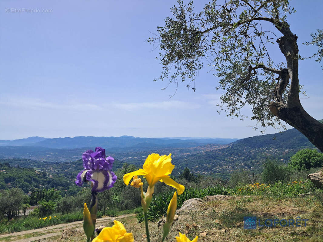 Appartement à CHATEAUNEUF-GRASSE