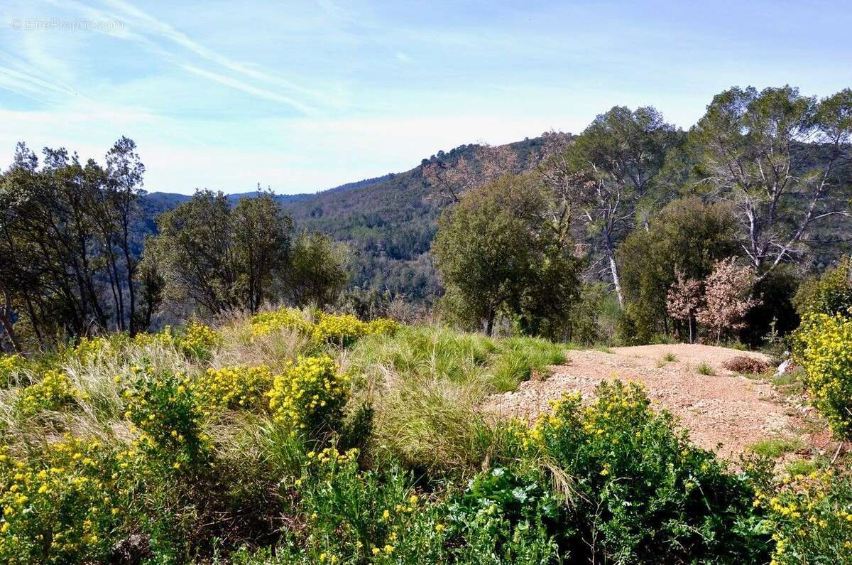 Terrain à LE TIGNET