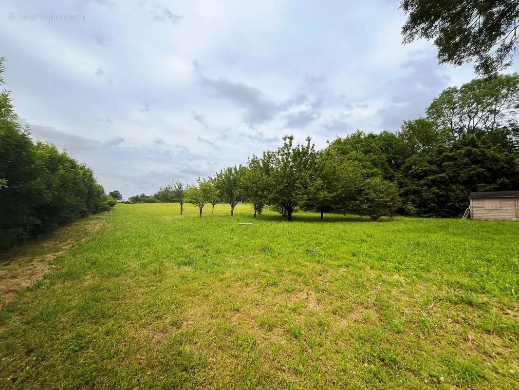 Maison à VERTEILLAC