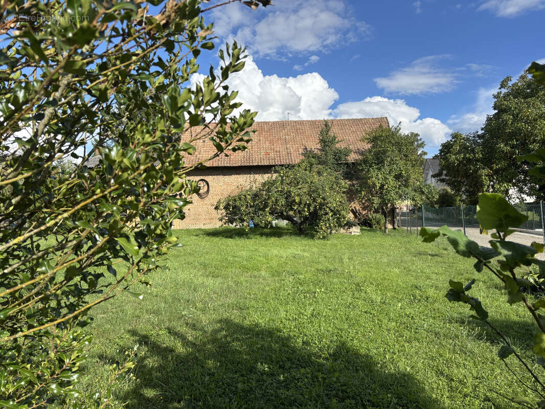 Terrain à TRUCHTERSHEIM