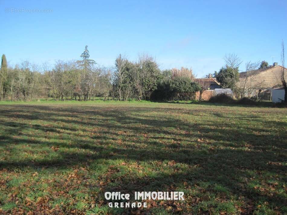 Terrain à LE BURGAUD