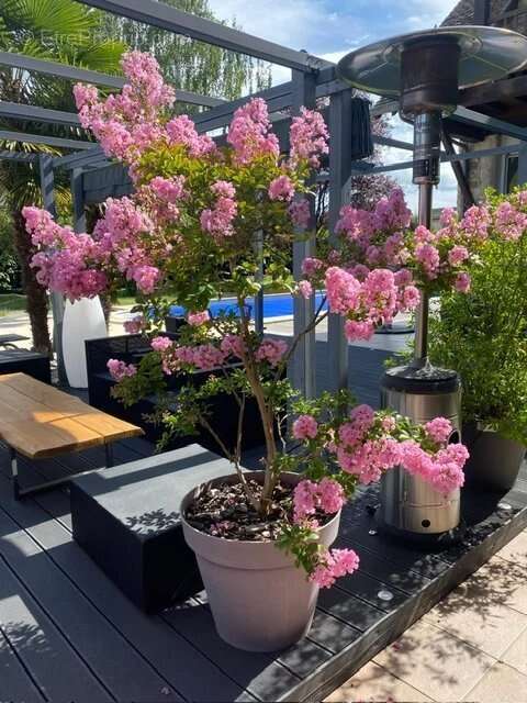 Maison à SAINT-REMY