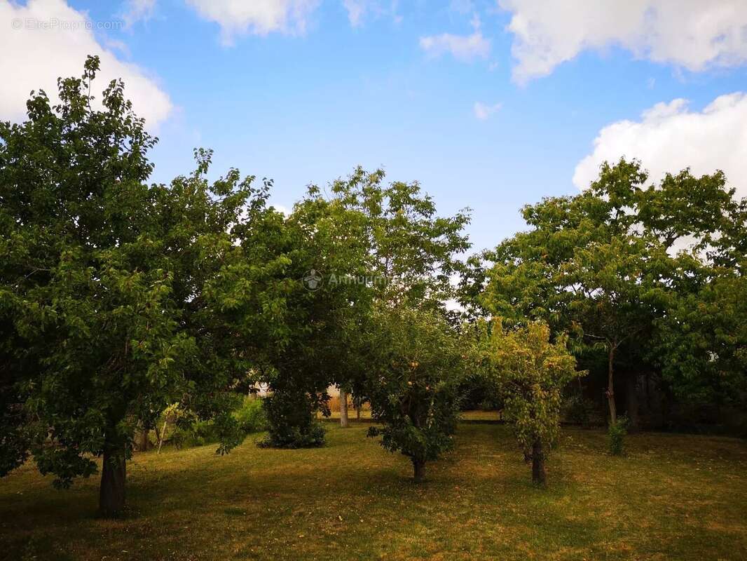 Maison à MONTOIRE-SUR-LE-LOIR