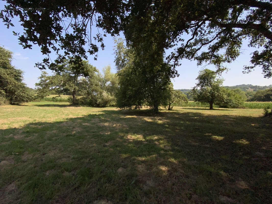 Ferme 10 hectares Monein - photo 22