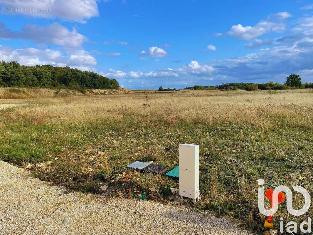 Photo 1 - Terrain à SAINT-FLORENT-SUR-CHER