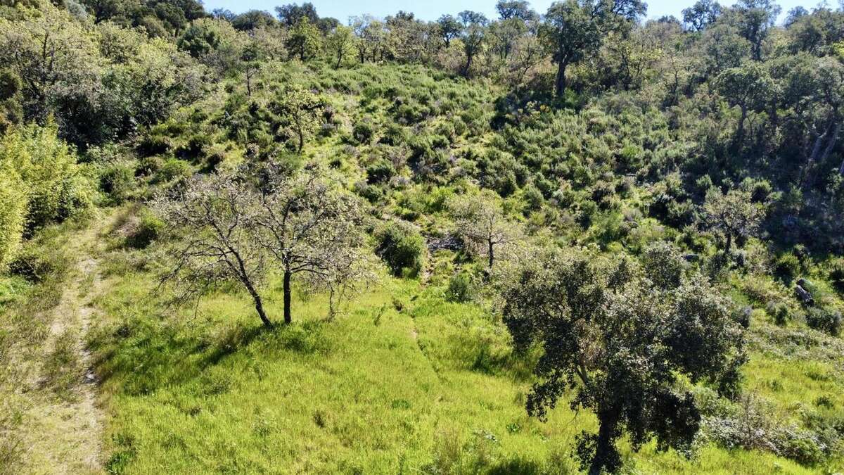 Photo 3 - Terrain à GRIMAUD