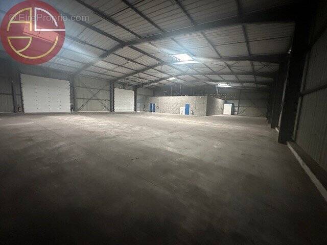 Commerce à SAINT-LYS