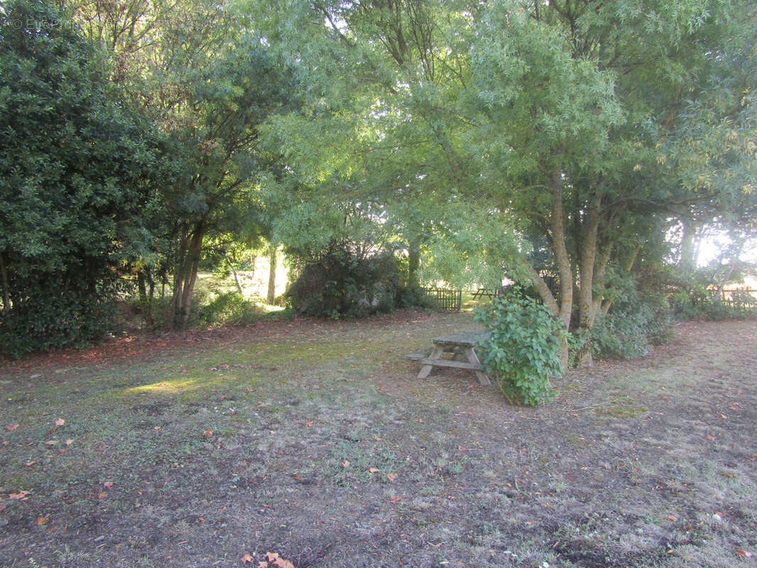 Terrain à SAINT-FELIX-LAURAGAIS