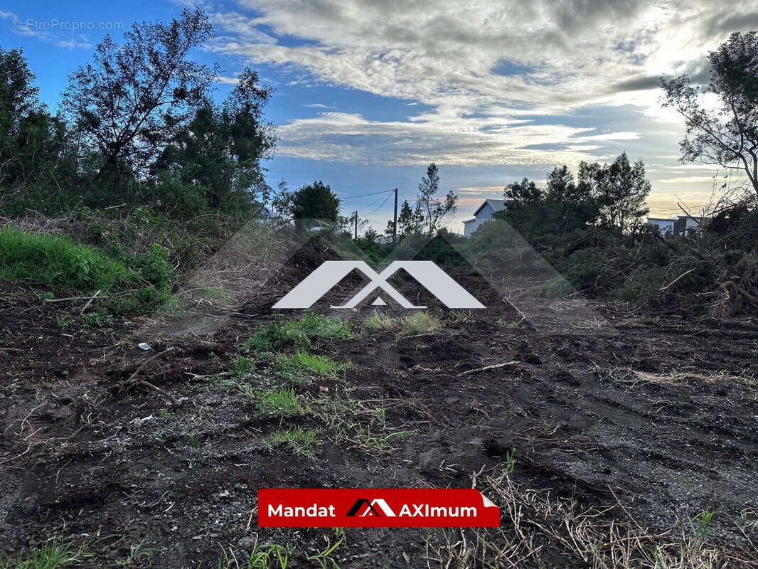 Terrain à SAINT-PIERRE