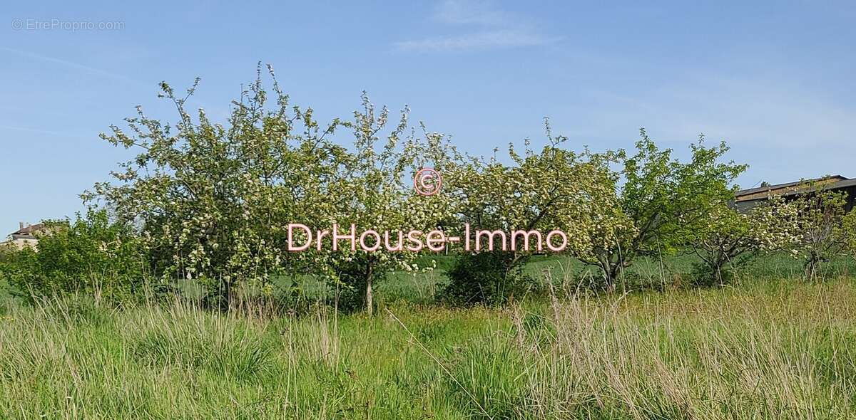 Terrain à LEVIGNAC-DE-GUYENNE