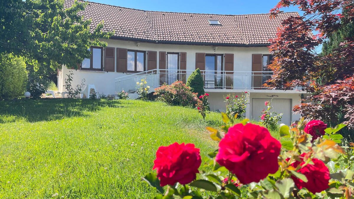 Maison à ALLONZIER-LA-CAILLE
