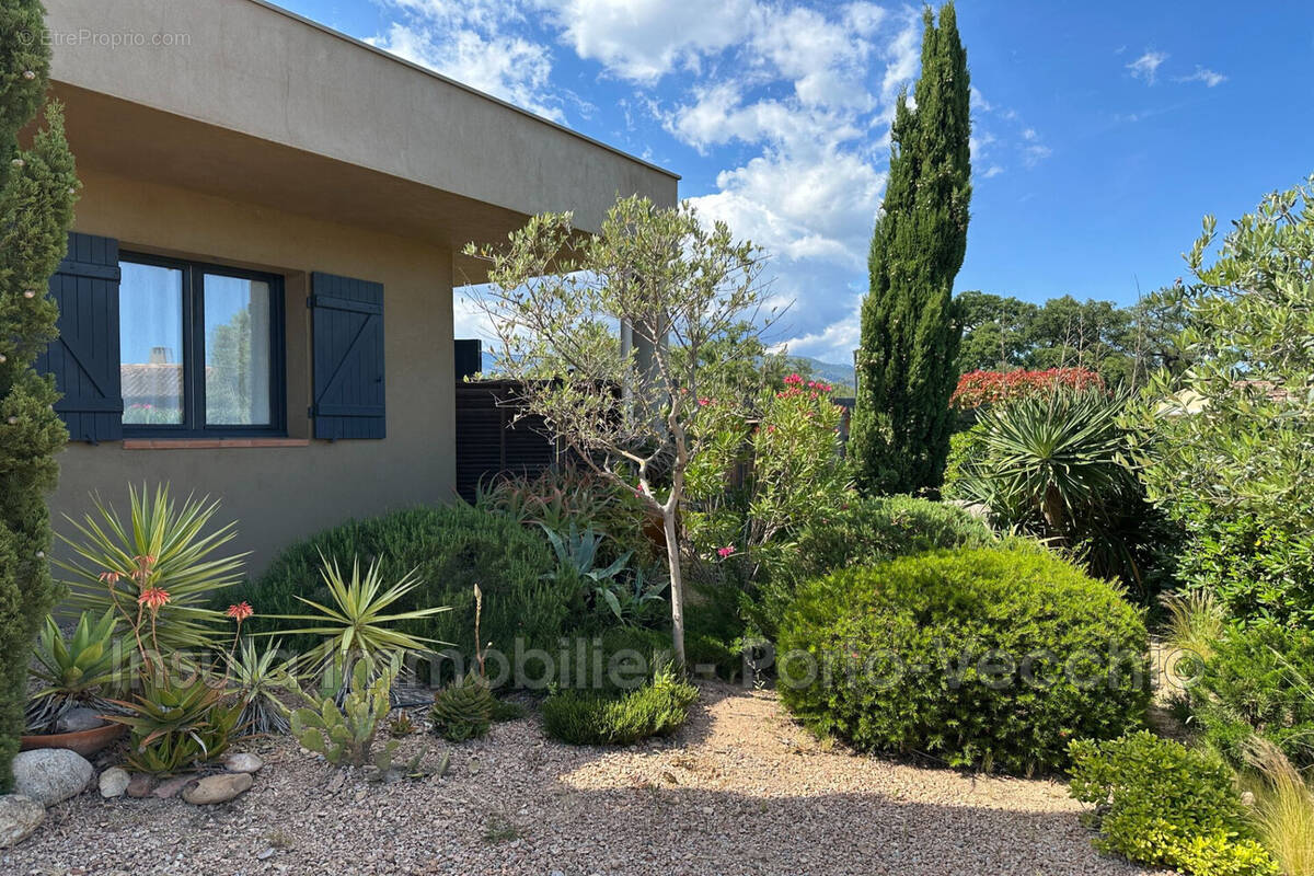 Maison à PORTO-VECCHIO