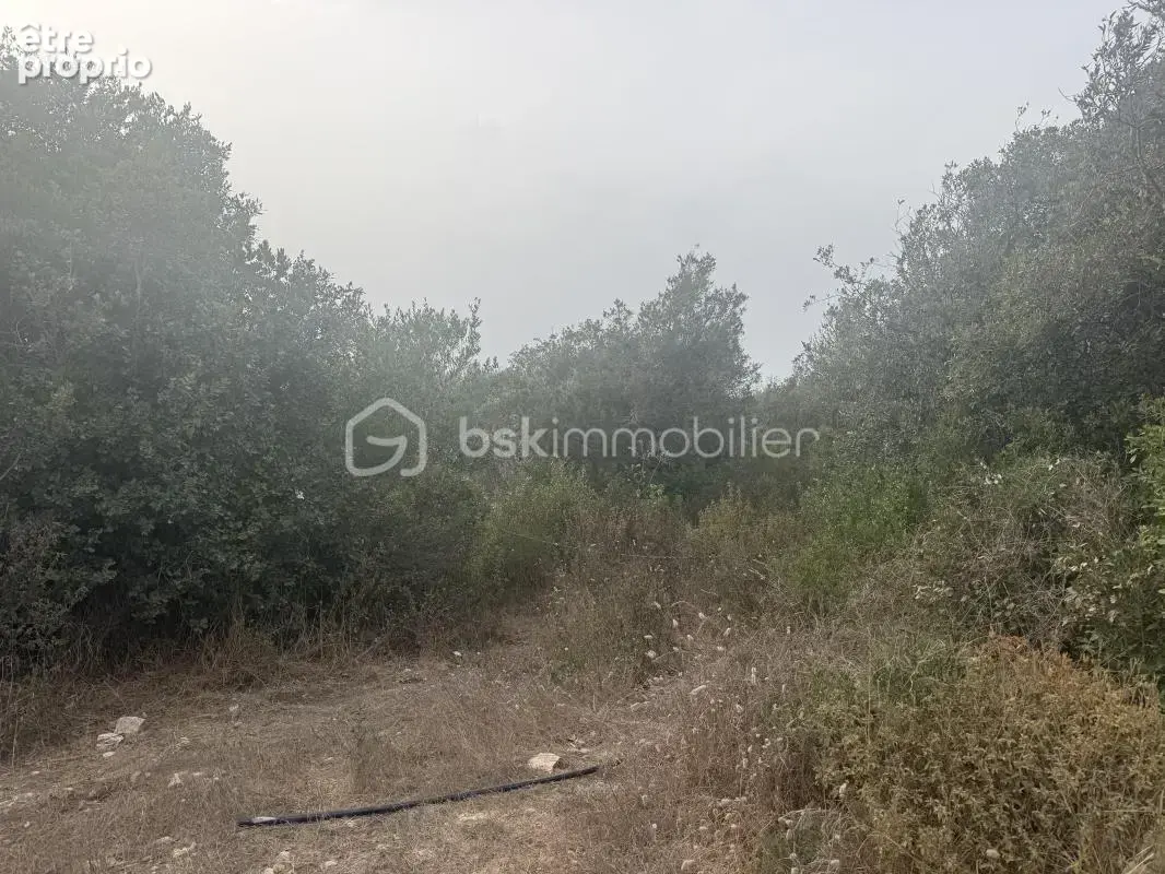 Ensemble immobilier de 4 logements sur 4 200 m² de terrain – investisseur - photo 12