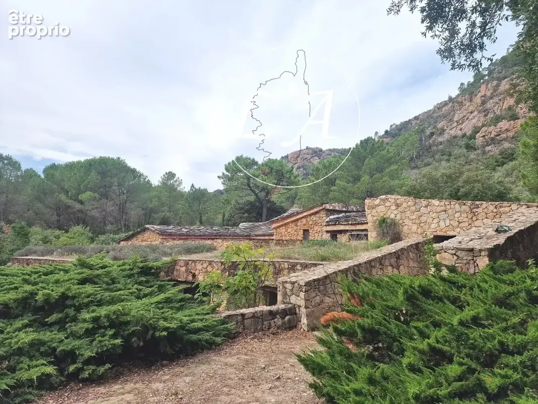 Un "Palazzu" d'Exception au Cœur du Massif de Bavella - photo 13