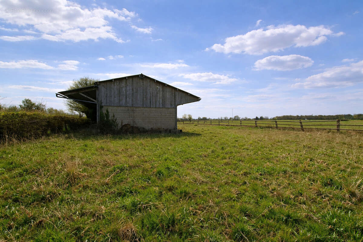 Terrain à LA FERTE-FRENEL