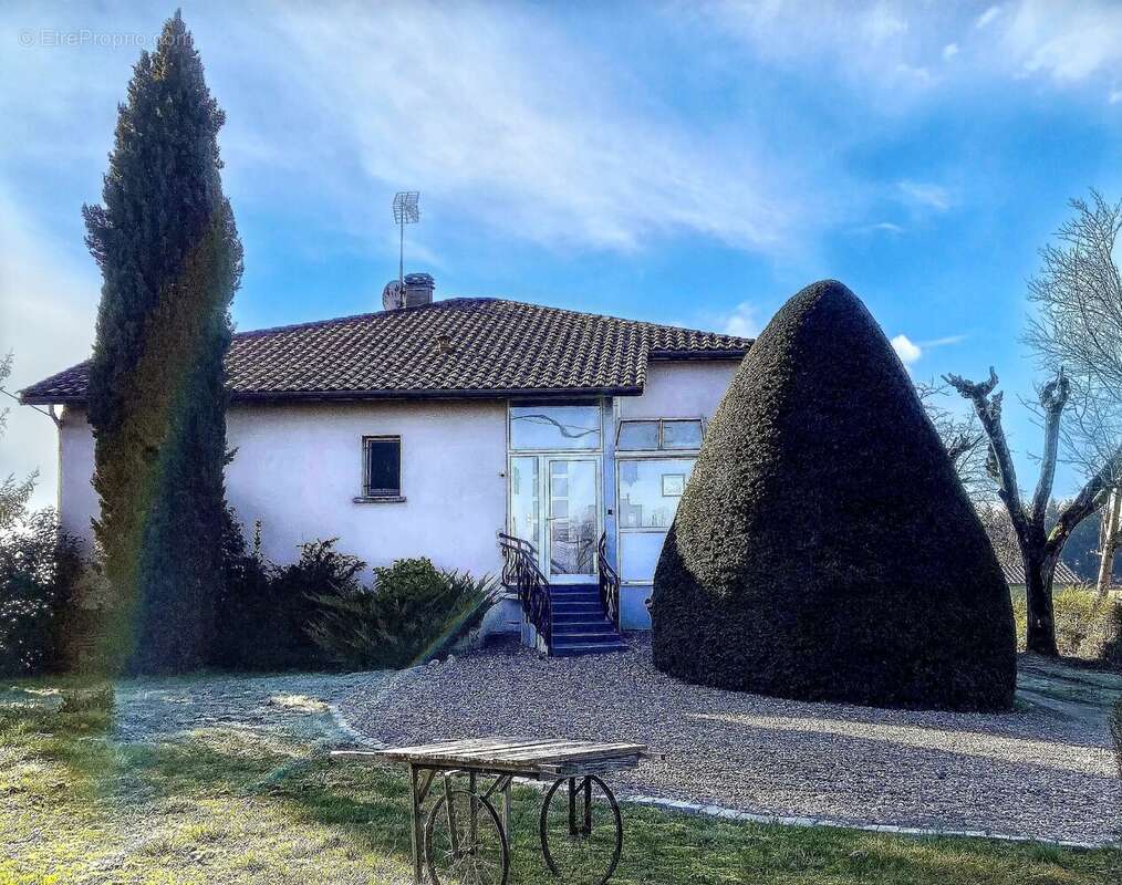 Maison à MONFLANQUIN