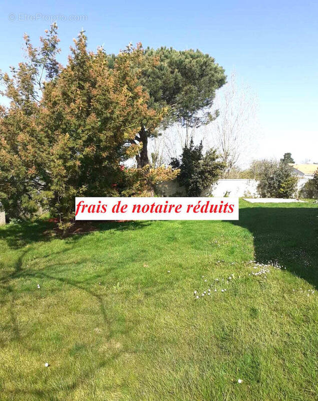 Terrain à TALMONT-SAINT-HILAIRE