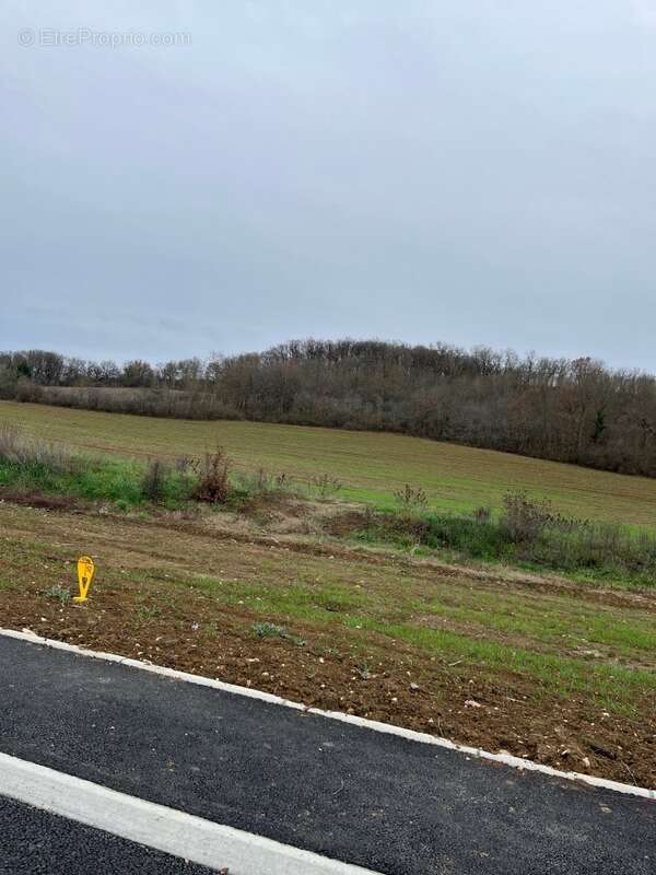 Terrain à LE SEQUESTRE