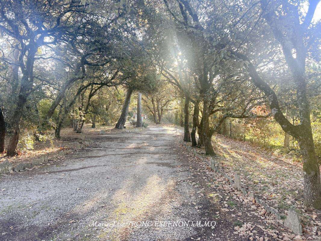 Maison à PERNES-LES-FONTAINES