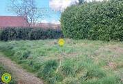 Terrain à LE BUISSON-DE-CADOUIN
